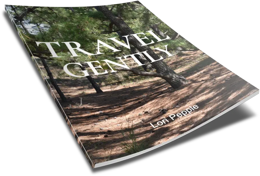 Cover of Traveling Gently
